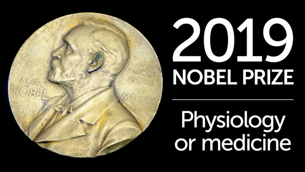 Nobel prize: How cells sense oxygen