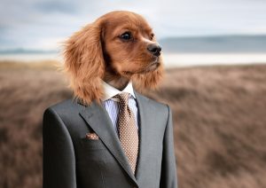 The Dynamic Approach of Small Dogs Of the Dow